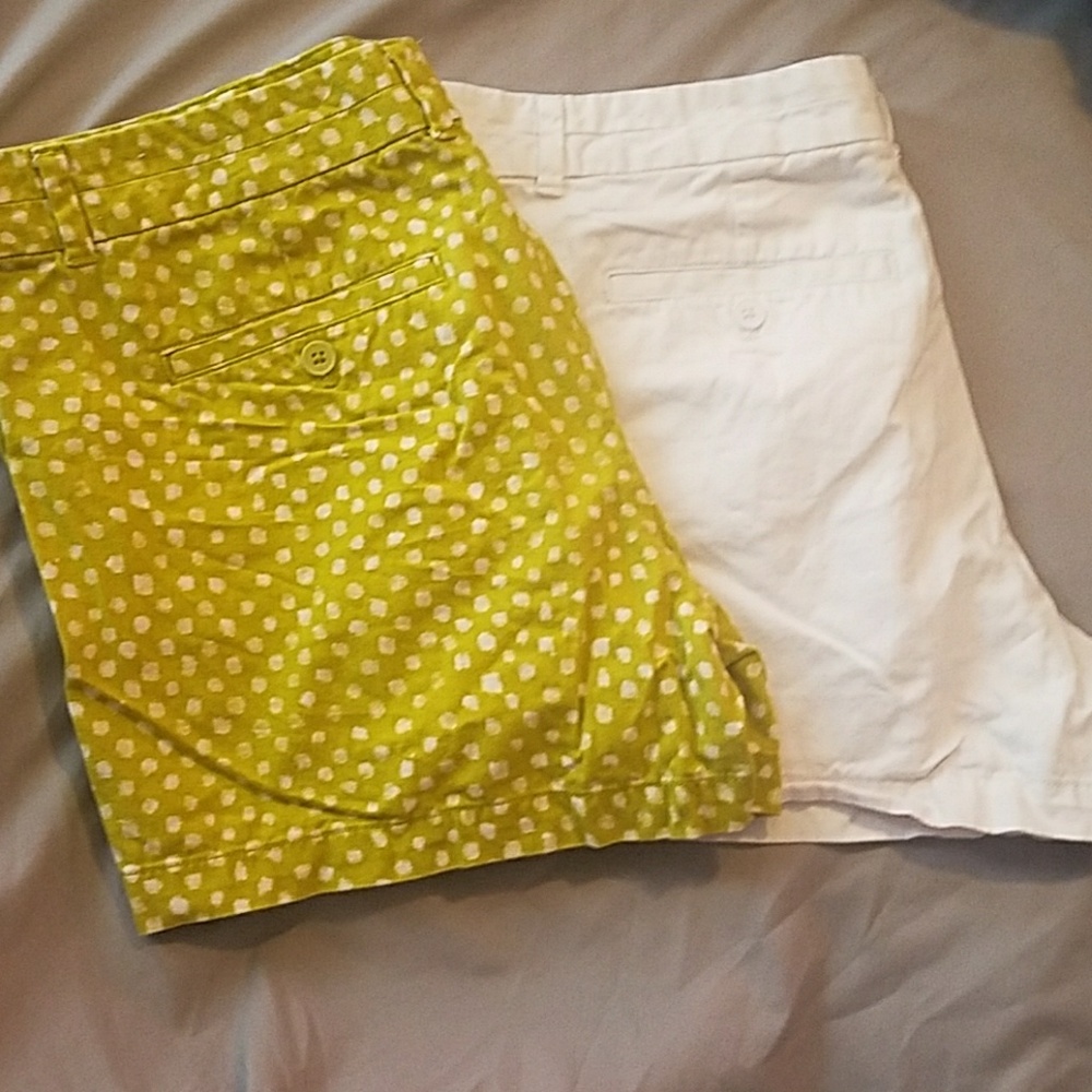Loft Shorts